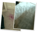 steam cleaning carpet Auckland
