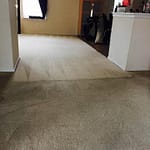 carpet cleaning