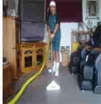 auckland carpet cleaning