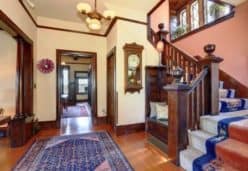 rug-cleaning-Auckland
