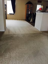carpet cleaning