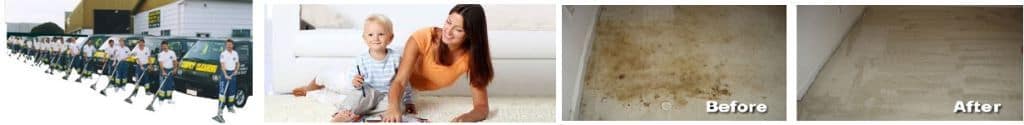 Auckland Carpet Cleaning